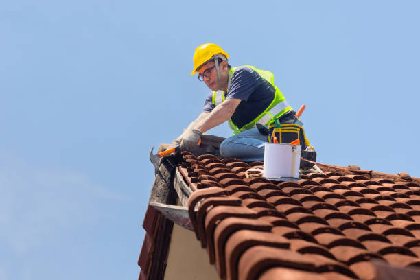 Best Roof Moss and Algae Removal  in Berthoud, CO